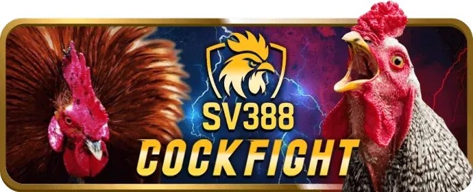 Cá cược thể thao 78boss nhà cái với bóng đá